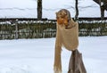 Doll of creature with beard in MeteÃâ i mumming mask and costume staying in the snowy yard